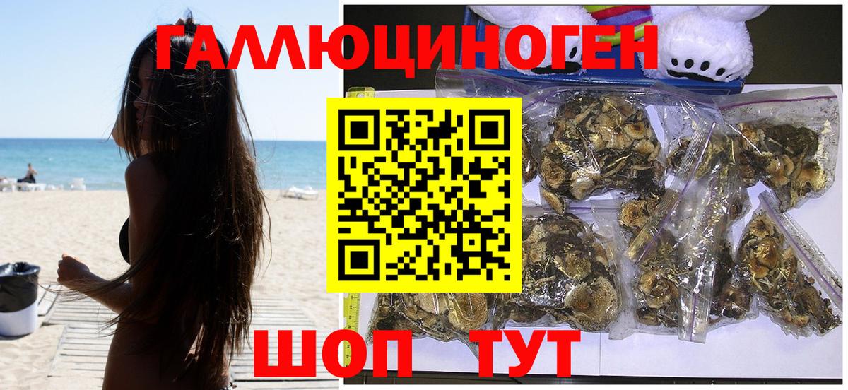 Псилоцибиновые грибы GOLDEN TEACHER Балашиха